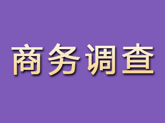 嵊泗商务调查