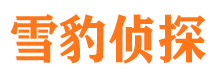 嵊泗市私人调查